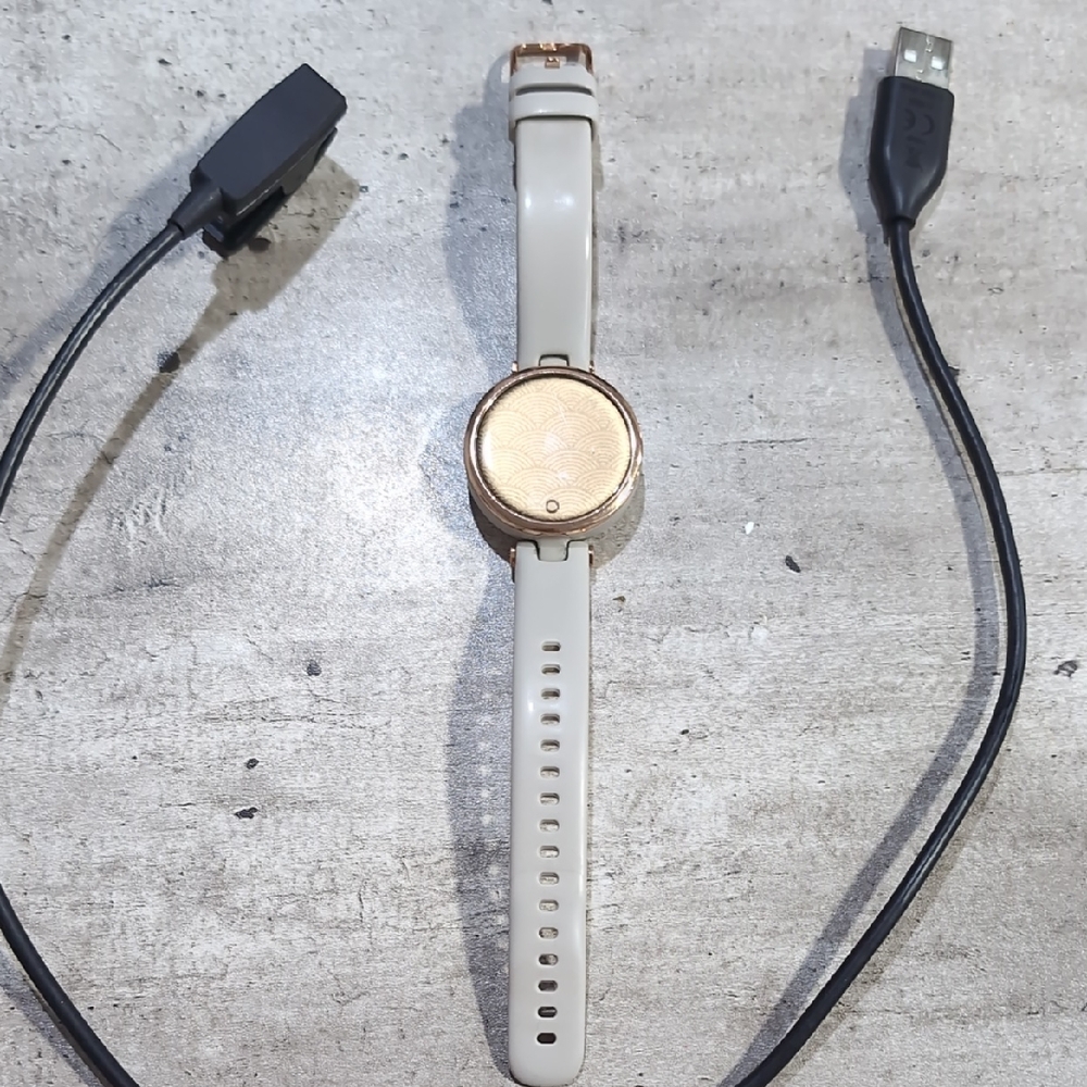 Rose Gold and Grey Garmin Lily